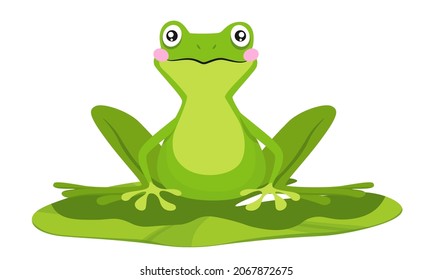 Funny Frog Sitting on Water Lily Leaf Isolated on White Background. Cute Toad Living on Pond, Fairy Tale Cartoon Character, Book or Game Personage, Mascot. Vector Illustration, Clip Art