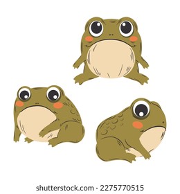 Funny frog in three versions. Green toad. Colorful cartoon animal. Vector illustration.