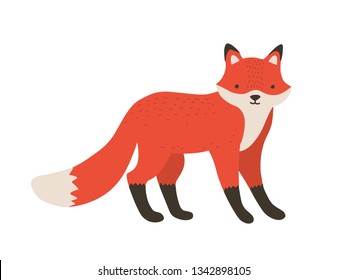 Foxy の画像 写真素材 ベクター画像 Shutterstock