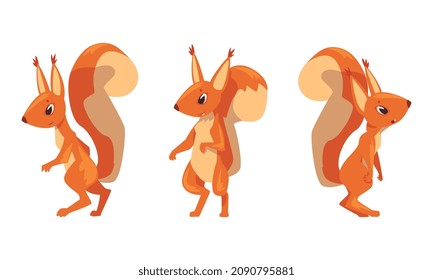 Funny Furry Squirrel Animal with Bushy Tail and Orange Coat Vector Set
