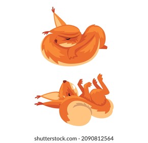 Funny Furry Squirrel Animal with Bushy Tail and Orange Coat Cuddling and Rolling on Its Back Vector Set