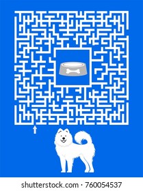  Funny game for children education. Maze . Help the Cartoon Dog Find the Bone. Vector Illustration