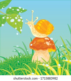 Funny garden snail with a beautiful spotted shell, sitting on a big mushroom among green grass on a forest glade, friendly smiling and playing with bright rain drops, vector cartoon illustration