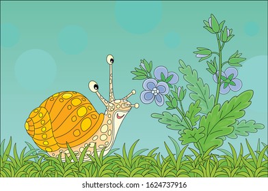 Funny garden snail friendly smiling and smelling a wonderful aroma of a beautiful wildflower among green grass of a field on a beautiful summer day, vector cartoon illustration
