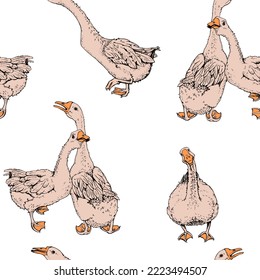 Geese gracioso. Patrón sin foco. Impresión de estilo dibujado a mano. Ilustración vectorial.