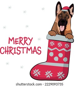 Funny German Shepherd dog with paws in Christmas stocking. Funny holiday greeting card with a cute dog head.New year postcard. Winter gift, pet in socks, cute X-mas design with a favorite pet in a hat