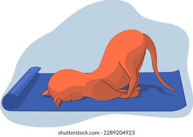 Funny ginger cat fell asleep while doing yoga on a blue yoga mat