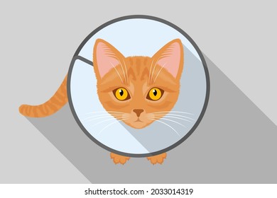 Châtrer Images, Stock Photos u0026 Vectors  Shutterstock