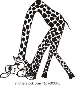 Funny giraffe. Black and white vector illustration in cartoon style.
