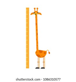 Funny giraffe cartoon character with long neck standing next to scale isolated on white background - wall height meter with cute smiling african animal. Flat vector illustration.