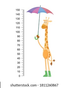 Funny giraffe. Cheerful funny giraffe with long neck. Giraffe meter wall or height chart for wall sticker. Illustration with scale from 2 to 150 centimeter to measure growth