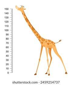 Funny giraffe. Cheerful funny giraffe with long neck. Giraffe meter wall or height chart or wall sticker. Illustration with scale from 0 to 150 centimeter to measure growth