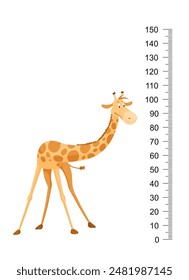 Funny giraffe. Cheerful funny giraffe with long neck. Giraffe meter wall or height chart or wall sticker. Illustration with scale from 0 to 150 centimeter to measure growth