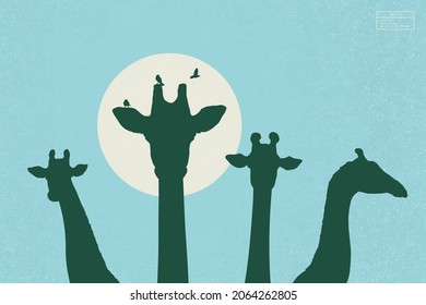 Funny giraffe family. Animal headhead on long neck. African wildlife