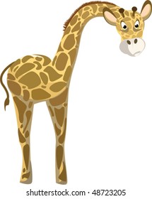 Funny giraffe illustration
