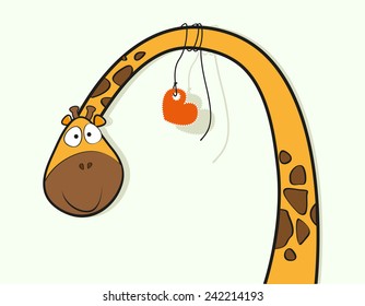 Funny Giraffe isolated on white background and a heart