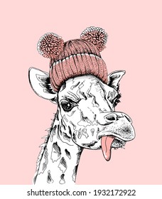 Funny Giraffe in the pink knitted hat with pom pom. Humor card, t-shirt composition, meme, hand drawn style print. Vector illustration.