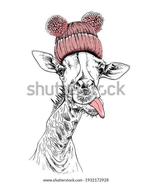 Funny Giraffe in the pink knitted hat with\
pom pom. Humor card, t-shirt composition, meme, hand drawn style\
print. Vector\
illustration.