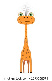 Funny giraffe is standing. Animals of Africa. Lovely wild animal. Happy animals. Isolated on white.