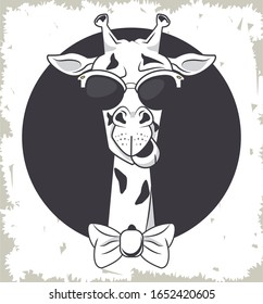 funny giraffe with sunglasses cool style vector illustration design