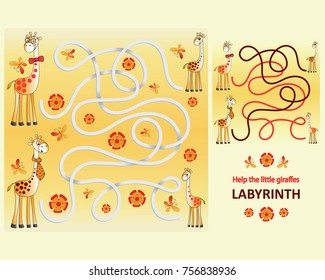 Funny giraffes. Help the little giraffes. Vector image of a maze, labyrinth, of educational game. Cartoon characters.