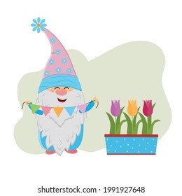 funny gnome with colorful garland and flower pot with tulips, vector isolated illustration in flat style