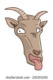Funny goat