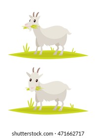 Funny goat set. Vector illustration of a flat design