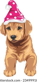 Funny golden retriever puppy in a hat. Vector