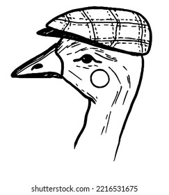 Funny Goose In A Cap