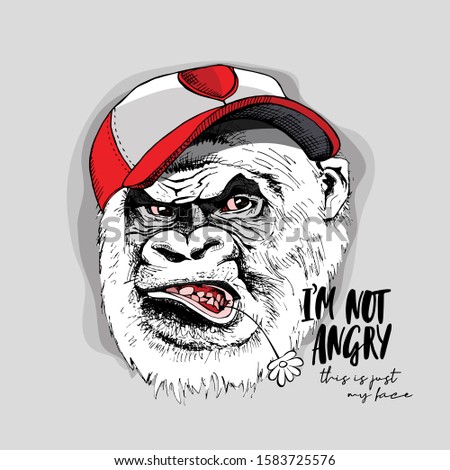 Funny Gorilla in a cap with flower. I'm not angry, this is just my face - lettering quote. Humor card, t-shirt composition, hand drawn style print. Vector illustration.