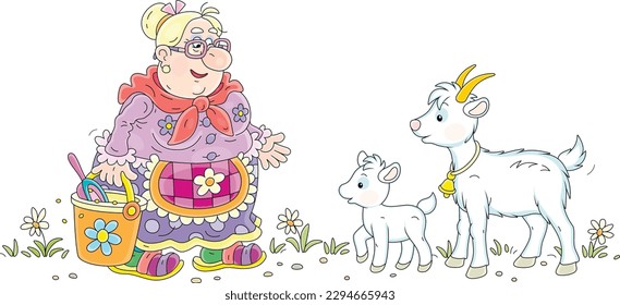 Funny granny with a bucket of food going to feed her cute white goat and a merry goatling in a yard of a home farm, vector cartoon illustration isolated on a white background