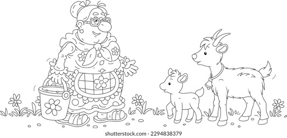 Funny granny with a bucket of food going to feed her cute goat and a merry goatling in a yard of a home farm, black and white outline vector cartoon illustration for a coloring book