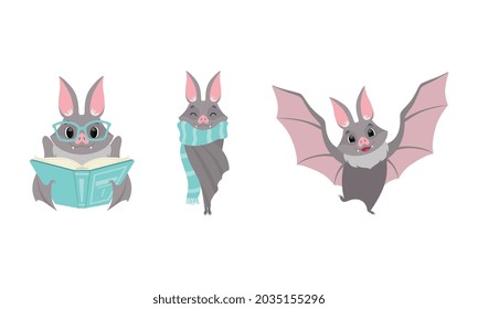 Funny Gray Bat with Cute Snout Reading Book and Wearing Scarf Vector Set