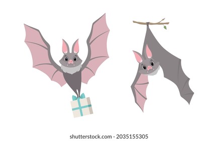 Funny Gray Bat with Cute Snout Flying with Gift Box and Hanging on Tree Branch Vector Set