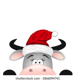 Funny gray bull on white background. Christmas card.