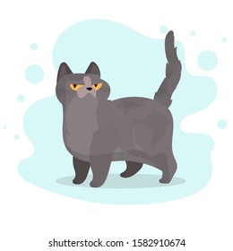 Funny gray cat. A cat with a serious look. Chubby cat on small paws. Good for design postcards or t-shirts. Vector illustration.