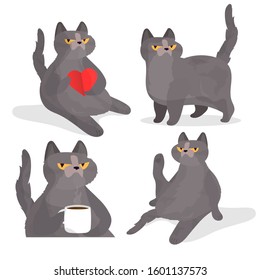 Funny gray cat set. A cat with a serious set look. Chubby cat.
Cats on a white background. Good for designer cards or t-shirts. Vector illustration