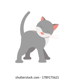 Hübsche graue Katze. Viereckige Karte mit lustigem Kätzchen im flachen Design. Fröhliche Katzen am Tag. Flache Kunstvektorgrafik