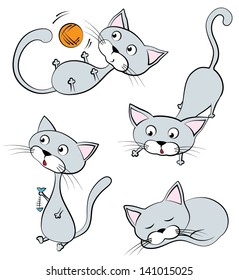 Funny gray cats