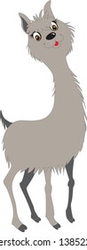 Vicuña, funny, gray color on white background. cute, cartoon.