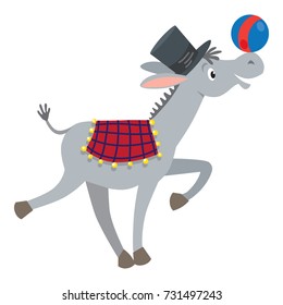 Funny gray donkey with ball