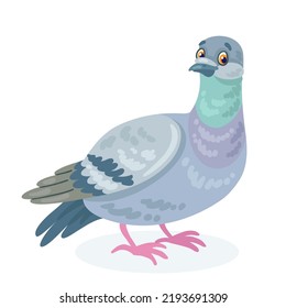 Funny gray dove. In cartoon style. Isolated on white background. Vector flat illustration. 