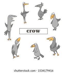 funny gray ravens with a large beak