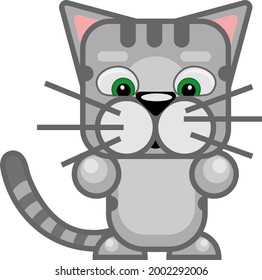 Funny gray striped cat on a white isolated background. Vector illustration on the theme of pets.