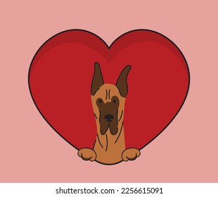 Funny Great Dane dog hanging with paws in a big Valentine's day heart. Love heart with pet head and heart and footprint. Dog face Holding Pink Heart Cartoon Icon. St Valentine's day for dog funs.