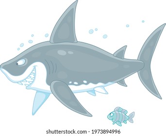 Funny great white shark slyly smiling and swimming with a small striped fish in water of a tropical sea, vector cartoon illustration isolated on a white background