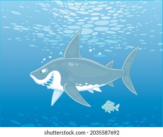 Funny great white shark slyly smiling and swimming with a small striped fish in water of a tropical sea, vector cartoon illustration
