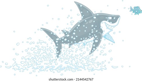 Funny great white shark and a small striped fish in splashes jumping out of water in a tropical sea, vector cartoon illustration isolated on a white background