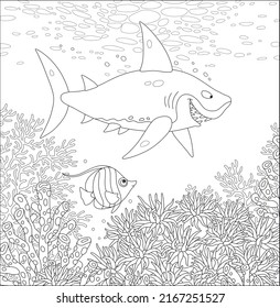 Funny great white shark swimming in warm waters of a southern sea and a small striped butterfly fish hiding among amazing corals of a tropical reef, black and white vector cartoon illustration